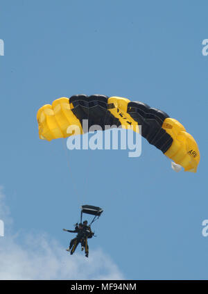 College Station, Texas, Stati Uniti d'America. Xiii Giugno, 2004. Quarantunesima edizione del Presidente degli Stati Uniti George H.W. Boccola attorno alla terra un tandem parachute jump con esercito Sgt. BRYAN SCHNELL, membro dell'esercito statunitense Golden Knights parachute team. Il tempo ventoso realizzato un assolo di atterraggio in modo pericoloso il Presidente Bush ha celebrato il suo ottantesimo compleanno con un doppio sbarco. Credito: Pietro Silva/ZUMAPRESS.com/Alamy Live News Foto Stock