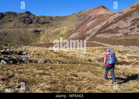 Avvicinamento Walker Red Pike sul Burtness percorso di legno vicino Bleaberry Tarn, Buttermere, Lake District, Cumbria, Regno Unito Foto Stock