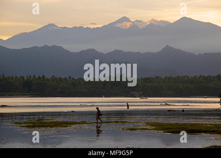 Due donne shell raccolta di pesce con sullo sfondo il Monte Rinjani all'alba Lombok Indonesia Foto Stock