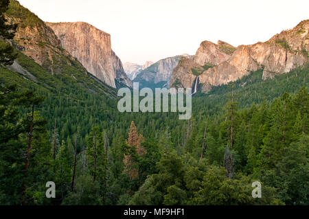 La vista su una verde vallata e il famoso El Capitan mountain al tramonto. El Capitan è una roccia verticale formazione nel Parco Nazionale di Yosemite in California, Foto Stock