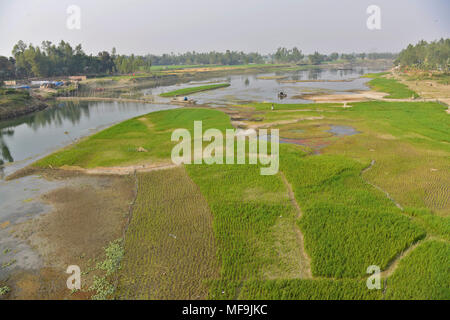 Bogra, Bangladesh - 28 Febbraio 2017: Il fiume Bangali è abbracciando una morte lenta a causa della mancanza di dragaggio e/o come conseguenza di encroachme umana Foto Stock