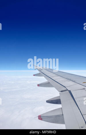 Ala dell'aeroplano Foto Stock