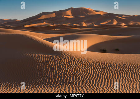 Mare di sabbia, Erg Chebbi dune del deserto, Sahara Occidentale, Marocco Foto Stock