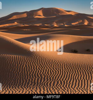 Mare di sabbia, Erg Chebbi dune del deserto, Sahara Occidentale, Marocco Foto Stock