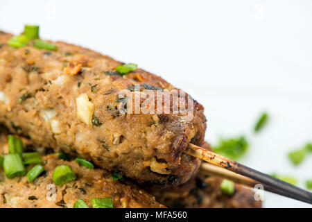 Kebab con erbe su una piastra bianca su sfondo bianco Foto Stock