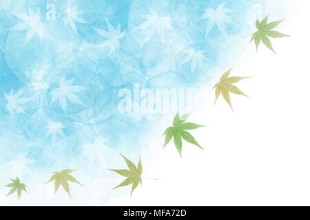 Verde giapponese maple leaf riassunto il summer blue acquerello sfondo di vernice Foto Stock