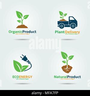 Appena cresciuta cavoli di organico. Set di vettore logo design dei modelli. Illustrazione Vettoriale