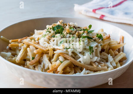 Bagno turco a base di noodle / Eriste con formaggio, noci e prezzemolo. I cibi tradizionali. Foto Stock