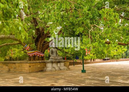 Statua del Buddha sotto il bodhi tree al Jetavanarama Dagoba, t Foto Stock