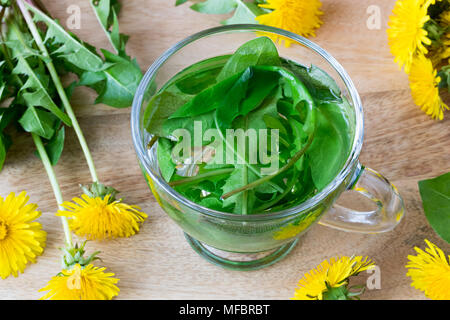 Una tazza di tè di tarassaco realizzato da foglie fresche Foto Stock