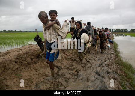 I rifugiati Rohingya è entrato il Bangladesh attraverso i punti di confine in Ukhia upazila di Cox's Bazar distretto, Bangladesh. Foto Stock