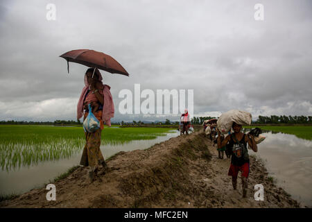 I rifugiati Rohingya è entrato il Bangladesh attraverso i punti di confine in Ukhia upazila di Cox's Bazar distretto, Bangladesh. Foto Stock