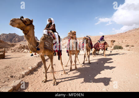 Ritratto di un facoltoso beduino con i suoi cammelli nel deserto Foto Stock