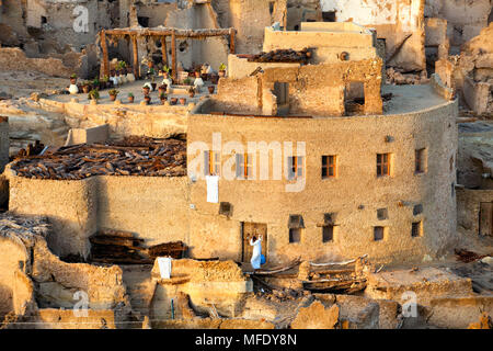 Vista della galleria d'arte nel centro dell'Oasi di Siwa nel Shali fortezza nel deserto del Sahara sul territorio dell'Egitto Foto Stock