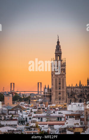 Vista la Giralda al tramonto, il campanile della cattedrale di Siviglia, Catedral de Santa Maria de la Sede, Siviglia, Andalusia Foto Stock