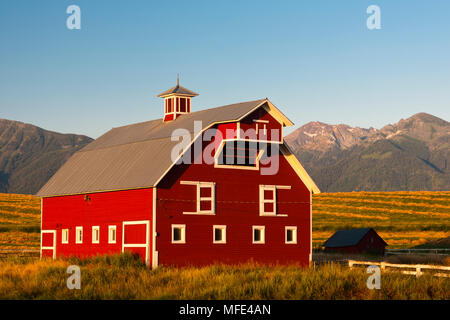 Fienile alla base delle montagne Wallowa, vicino a Enterprise, Oregon. Foto Stock