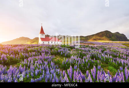 Ottima vista di Vikurkirkja chiesa cristiana nella luce della sera. Drammatica e pittoresca scena. Popolare attrazione turistica. Ubicazione Posto famoso Vik mi Myrdal village, Islanda, l'Europa. Foto Stock