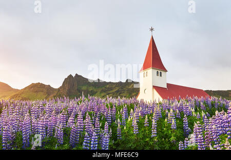 Ottima vista di Vikurkirkja chiesa cristiana nella luce della sera. Drammatica e pittoresca scena. Popolare attrazione turistica. Ubicazione Posto famoso Vik mi Myrdal village, Islanda, l'Europa. Foto Stock