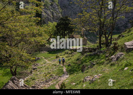 Padre e Figlio con Zaini Trekking insieme in montagna. Papà e ragazzo andare godendo di viste sulla montagna. Uno stile di vita attivo Foto Stock