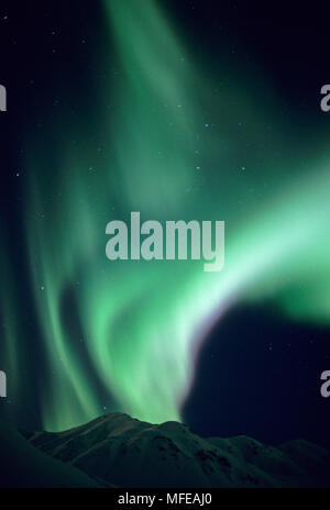 AURORA boreale o luci del nord sulla coperta di neve montagne Talkeetna Hatcher Pass area, Alaska, STATI UNITI D'AMERICA Foto Stock