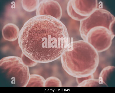 Il cancro di cellule di forma anormale di cellule Foto Stock