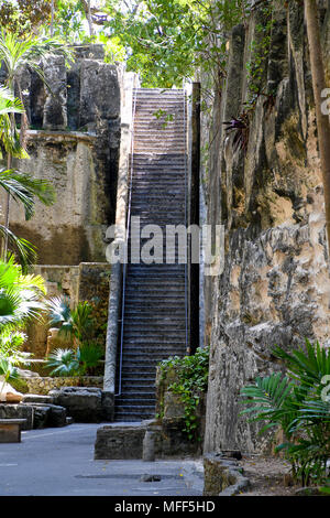 Regina storica scalinata del punto di riferimento con le palme in Nassau Bahamas Foto Stock