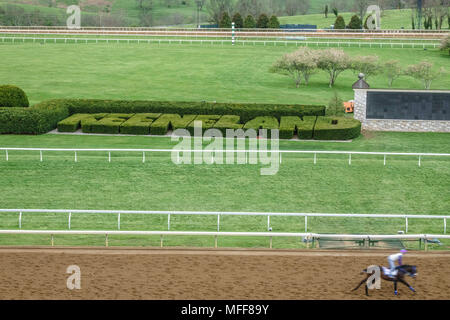 LEXINGTON, KY/STATI UNITI D'America - 19 Aprile 2018: a un allenamento mattutino a Keeneland Race Course, un cavaliere e purosangue (inferiore destro) passano da topiaria da punto di riferimento di Foto Stock