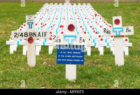 Più righe di croci in North Terrace Adelaide, Australia commemorare Australian soldati che hanno combattuto in 2/48esimo battaglione durante la Seconda Guerra Mondiale 2 Foto Stock