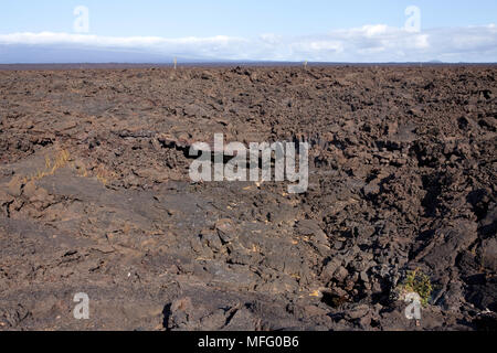 Il terreno vulcanico, Moreno punto, Isabela Island, Isole Galapagos, Patrimonio Naturale dell'Unesco, Ecuador, Oriente Oceano Pacifico Foto Stock