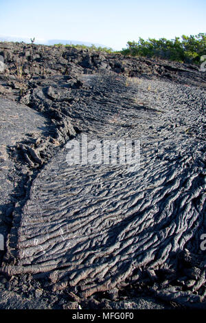 Il flusso di lava, Moreno punto, Isabela Island, Isole Galapagos, Patrimonio Naturale dell'Unesco, Ecuador, Oriente Oceano Pacifico Foto Stock