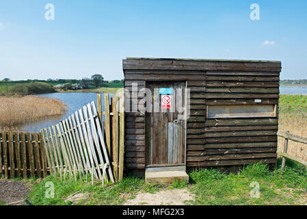 Kingfisher nascondi a Fingringhoe Wick, un Essex Wildlife Trust riserva naturale, Essex, Inghilterra, Regno Unito Foto Stock