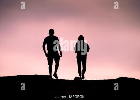 Un giovane stagliano contro una vivida rosa sky. Foto Stock