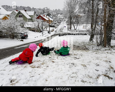 MOLNDAL, Svezia - 11 dicembre 2017: i bambini giocano nella neve e discesa in slittino una collina con i caschi sulle loro teste. Vista dal retro con ho Foto Stock