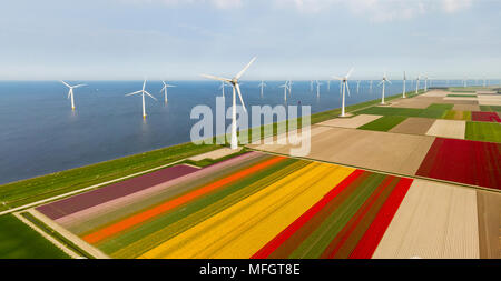 Vista aerea di campi di tulipani e turbine eoliche nel comune Noordoostpolder, Flevoland Foto Stock