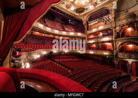 Belfast Opera House, interno, Belfast, Irlanda del Nord, Regno Unito, Europa Foto Stock