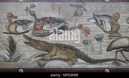 Coccodrillo del Nilo (Crocodylus niloticus) rappresentata nel mosaico romano con la scena nilotica dalla Casa del Fauno (Casa del Fauno) a Pompei, ora esposti nel Museo Archeologico Nazionale (Museo Archeologico Nazionale di Napoli) in Napoli, campania, Italy. Foto Stock