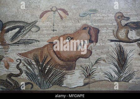 Ippopotamo (Hippopotamus amphibius) rappresentata nel mosaico romano con la scena nilotica dalla Casa del Fauno (Casa del Fauno) a Pompei, ora esposti nel Museo Archeologico Nazionale (Museo Archeologico Nazionale di Napoli) in Napoli, campania, Italy. Foto Stock