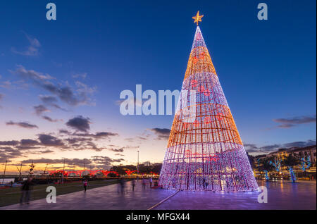 Design moderno di albero di Natale con le luci a LED sul lungomare di Funchal, Madeira, Portogallo, atlantiche, Europa Foto Stock