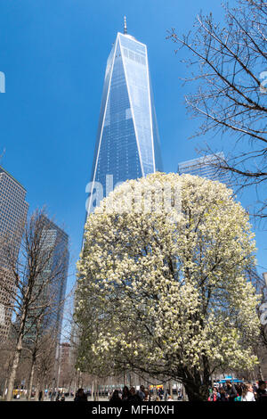 La struttura superstite presso il National September 11 Memorial sito con la libertà Torre , la parte inferiore di Manhattan, New York Foto Stock