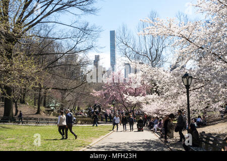 Primavera nel Central Park di New York City, Stati Uniti d'America Foto Stock