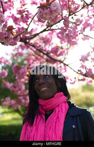 Una donna di colore rosa di ammirare la fioritura dei ciliegi su un albero in un giorno di sole Foto Stock