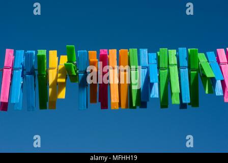 Multi spine colorate Foto Stock