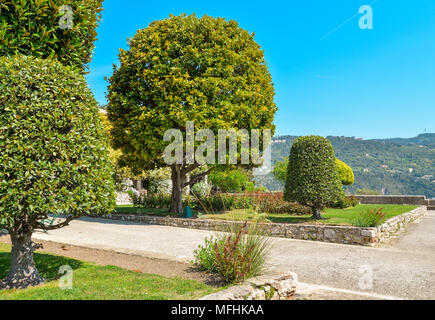 Il giardino del monastero francescano sulla collina di Cimiez. Monastero di Cimiez, il giardino e la chiesa è stata utilizzata dai monaci francescani sin dal XVI secolo. N Foto Stock