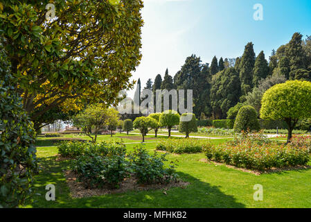 Il giardino del monastero francescano sulla collina di Cimiez. Monastero di Cimiez, il giardino e la chiesa è stata utilizzata dai monaci francescani sin dal XVI secolo. N Foto Stock