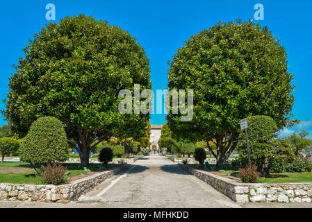 Il giardino del monastero francescano sulla collina di Cimiez. Monastero di Cimiez, il giardino e la chiesa è stata utilizzata dai monaci francescani sin dal XVI secolo. N Foto Stock