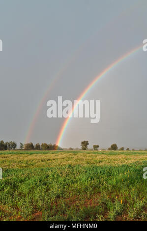 Rainbows su terreni agricoli in Alentejo, Portogallo Foto Stock