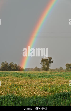 Rainbows su terreni agricoli in Alentejo, Portogallo Foto Stock