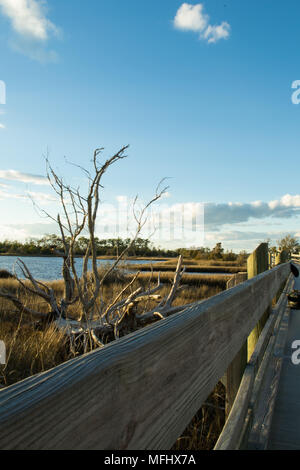 Il tramonto e l'ora d'oro vicino al lungomare e river edge di Cape Carteret County in North Carolina. Cedar Point. Foto Stock