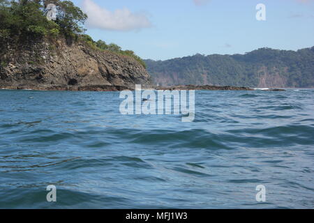 Balene, Tortuga, Costa Rica Foto Stock