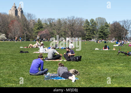 Le persone godono di un pic-nic sul grande prato di Central Park durante la primavera, NYC, STATI UNITI D'AMERICA Foto Stock